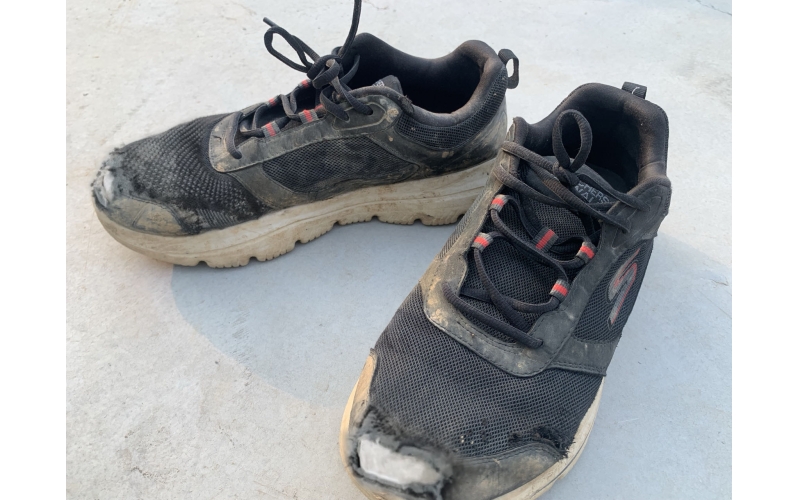 【天華人】光榮的伙伴，無(wú)聲的陪伴